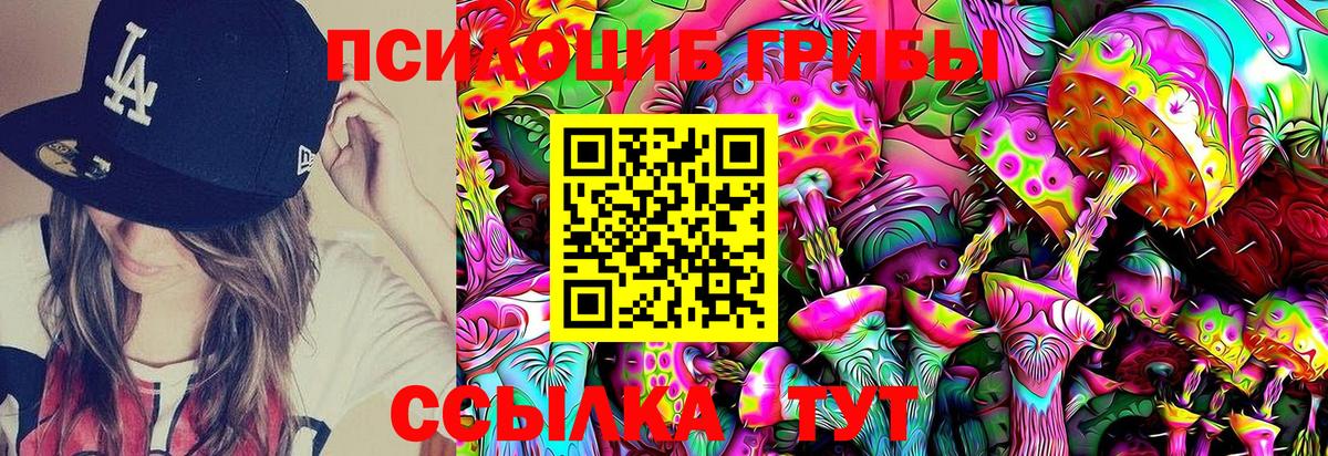 Галлюциногенные грибы Cubensis Мытищи