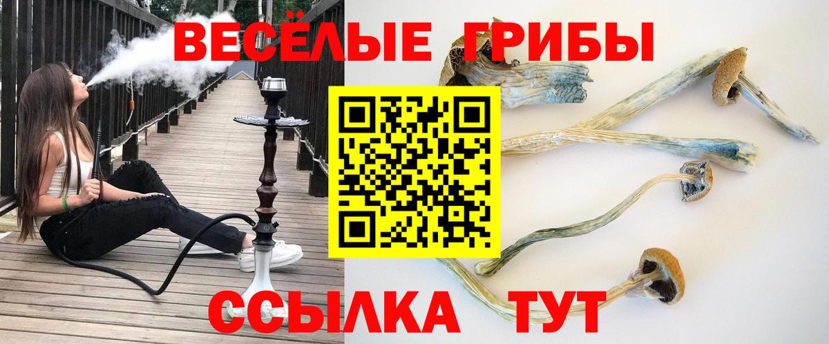 Мефедрон кристаллы  КОКАИН  ГАШИШ  Вход с VPN  Мытищи  Меф МЯУ МЯУ  ГАШ  МДМА  Марихуана  Alpha-PVP СК  