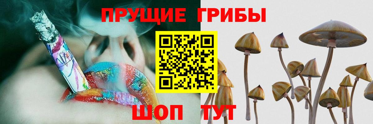 Мытищи  Псилоцибиновые грибы мицелий  купить закладку  Вход с VPN 
